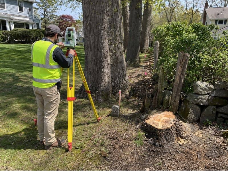Land surveyor checking property line evidence near mature trees, an old fence, survey stakes, and a freshly cut tree stump.

