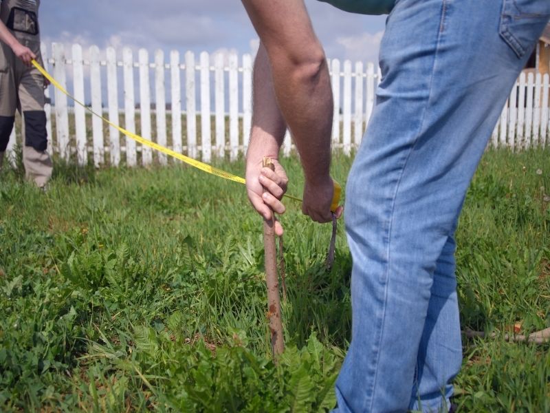 Land surveyor reviewing fence corner conditions to verify property boundaries and survey markers in Orlando FL